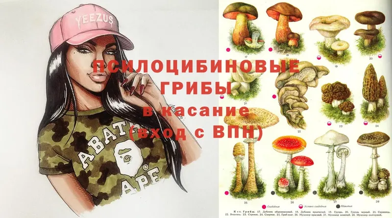 Псилоцибиновые грибы Psilocybine cubensis  ссылка на мегу tor  Кимовск  хочу  