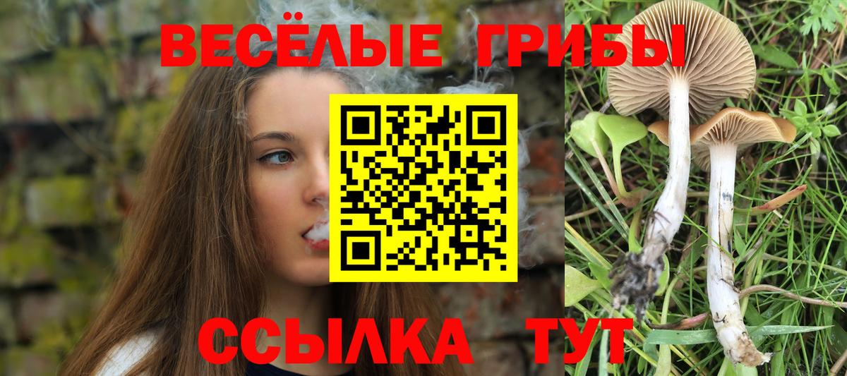 Кимовск  Галлюциногенные грибы GOLDEN TEACHER  Вход с VPN 