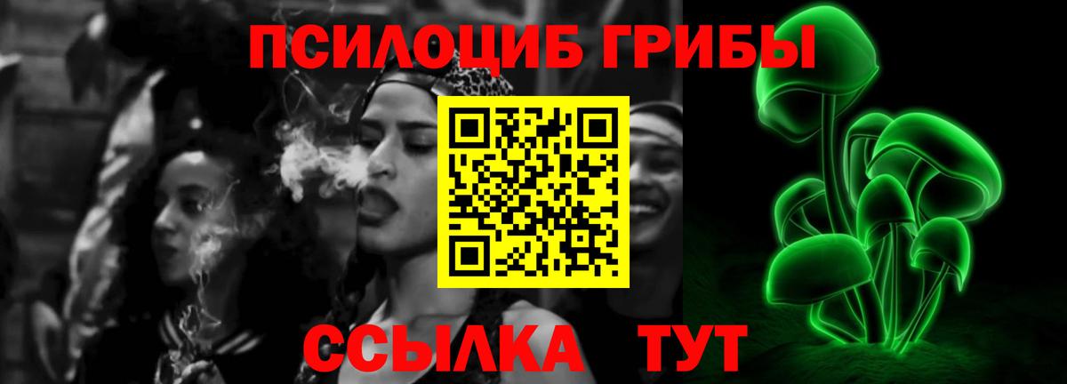 Псилоцибиновые грибы мухоморы  даркнет сайт  Кимовск 